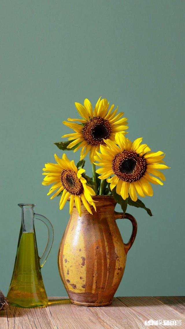 期末考试快到了，如何提高孩子的化学成绩