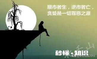 大盘猛涨,自己手里的股票不涨是怎样一种体验
