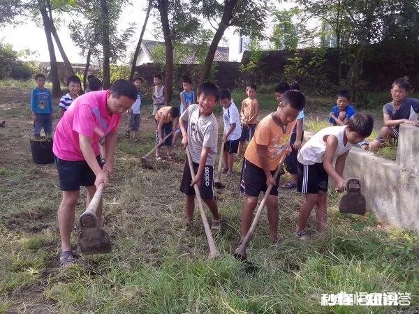 现在的学生都不爱劳动,怎样在学校开展劳动教育