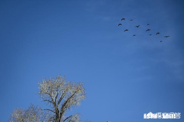 相机补偿曝光是加大光圈还是提高lSO为什么
