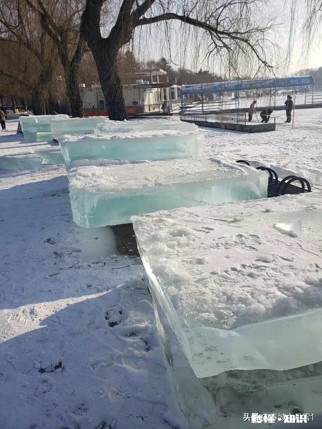 大家有漂亮雪景的照片吗可以分享一下吗