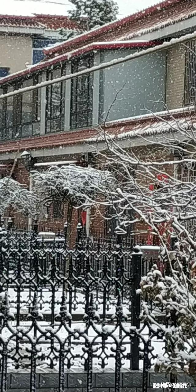 大家有漂亮雪景的照片吗可以分享一下吗