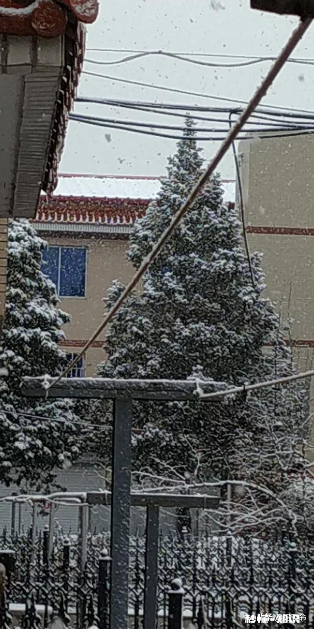 大家有漂亮雪景的照片吗可以分享一下吗