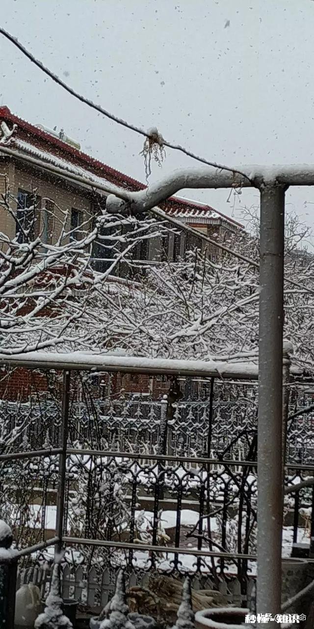 大家有漂亮雪景的照片吗可以分享一下吗
