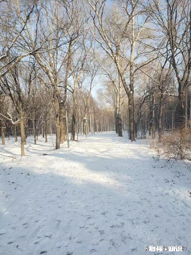 大家有漂亮雪景的照片吗可以分享一下吗