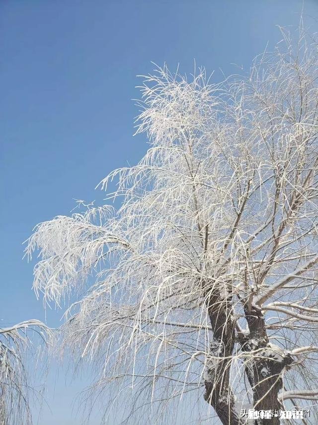 大家有漂亮雪景的照片吗可以分享一下吗