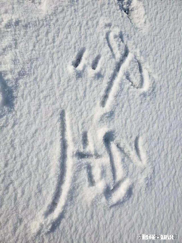 大家有漂亮雪景的照片吗可以分享一下吗