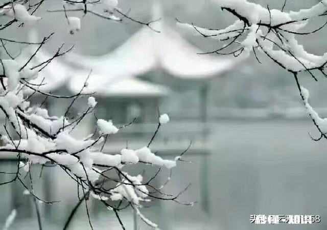 大家有漂亮雪景的照片吗可以分享一下吗