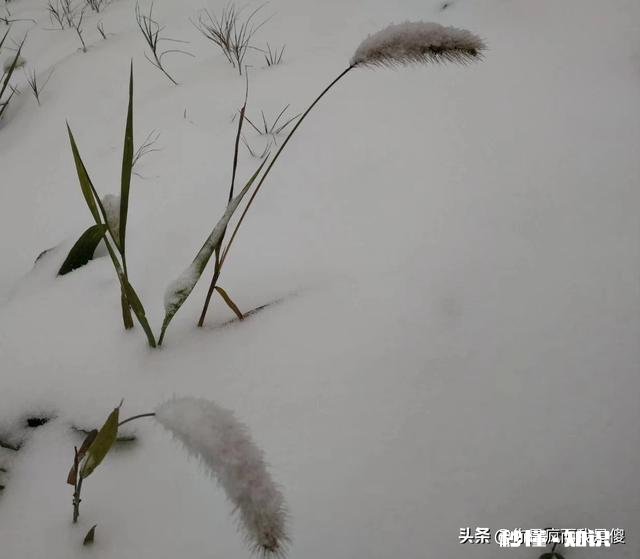 大家有漂亮雪景的照片吗可以分享一下吗