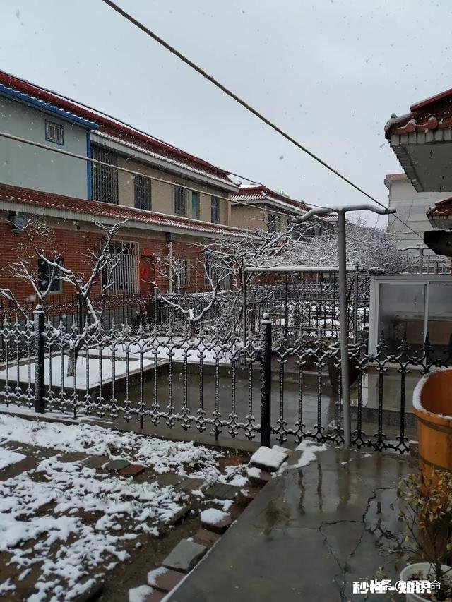 大家有漂亮雪景的照片吗可以分享一下吗