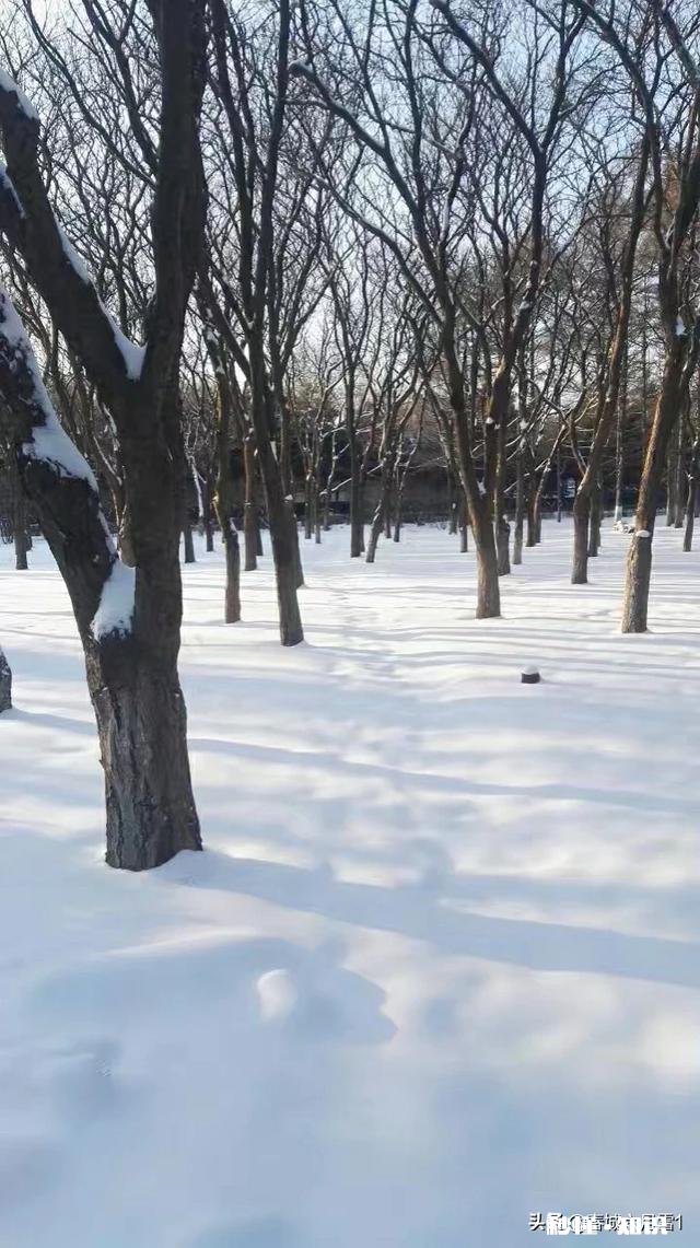 大家有漂亮雪景的照片吗可以分享一下吗