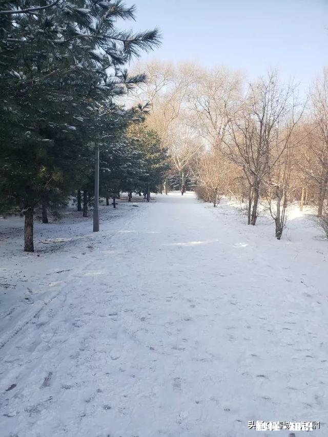 大家有漂亮雪景的照片吗可以分享一下吗