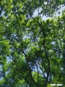 如何应对小公司的各种勾心斗角