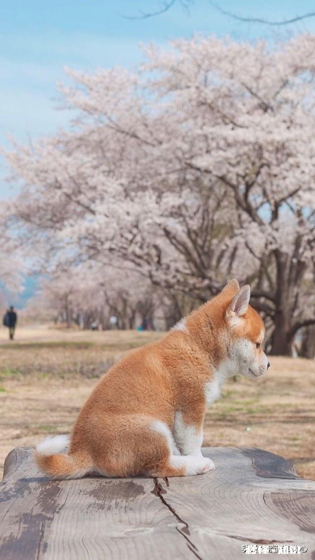怎么能让老公彻底戒酒