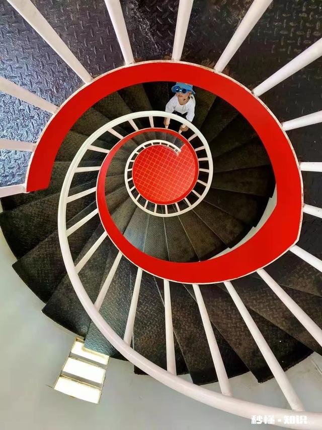 哪种旅游方式是现在年轻人最喜欢的