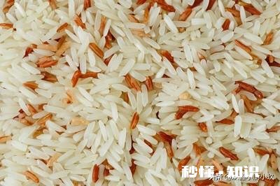 大米生了虫子怎么办