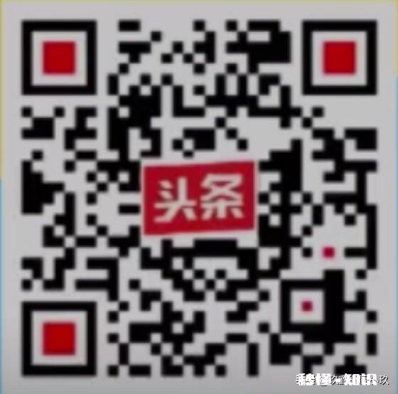 大米生了虫子怎么办