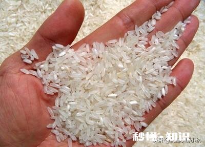 大米生了虫子怎么办