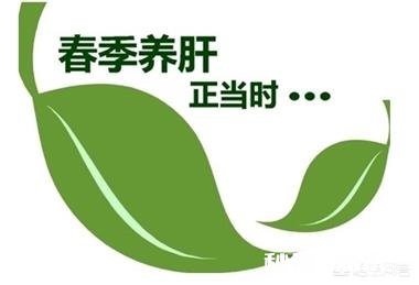 想养肝，日常该注意什么