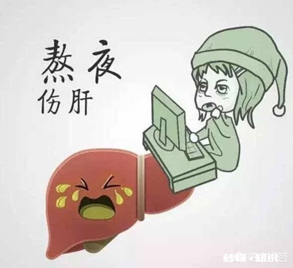 想养肝，日常该注意什么