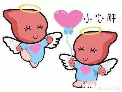 想养肝，日常该注意什么