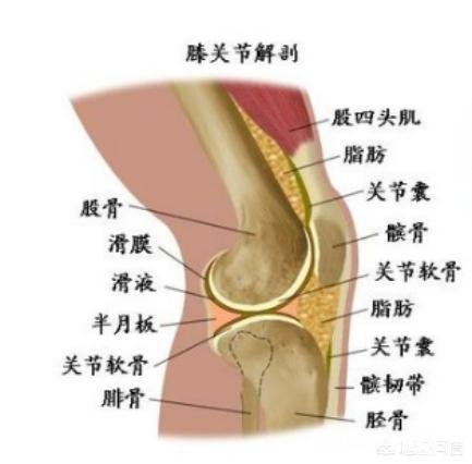 有哪些热身运动可以保护膝关节