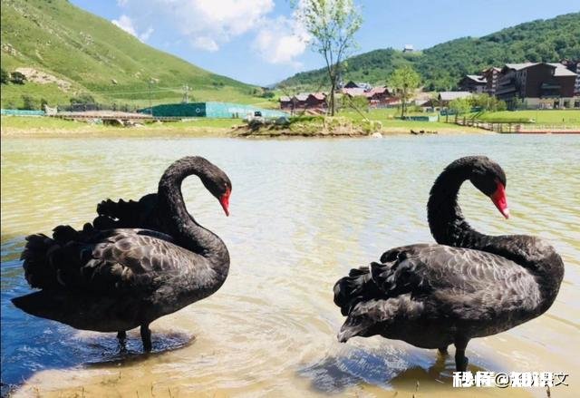 60岁退休男人要过旅居养老生活，能找到爱好一致的女伴吗