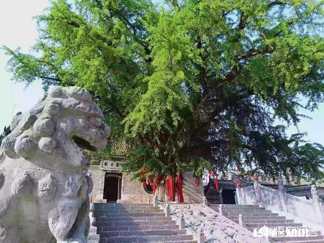 有想法从事旅游工作，求专业人士指点