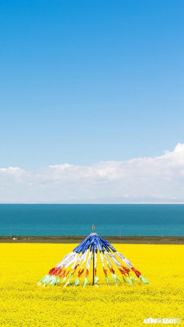 有想法从事旅游工作，求专业人士指点