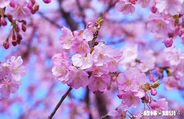 分手后，怎么让自己重拾魅力，重新吸引他