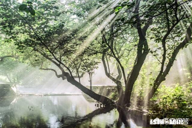 清明节前后日照有哪些好玩的地方吗