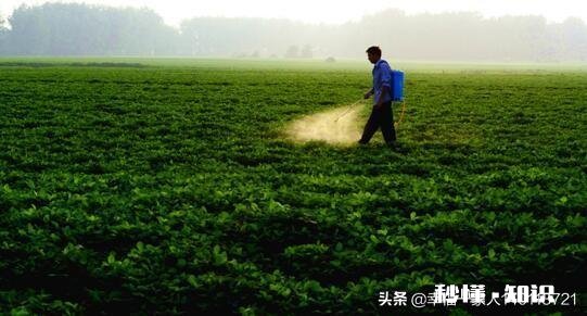 5月14号后种花生还行吗