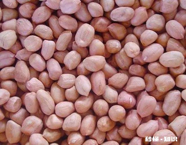 5月14号后种花生还行吗