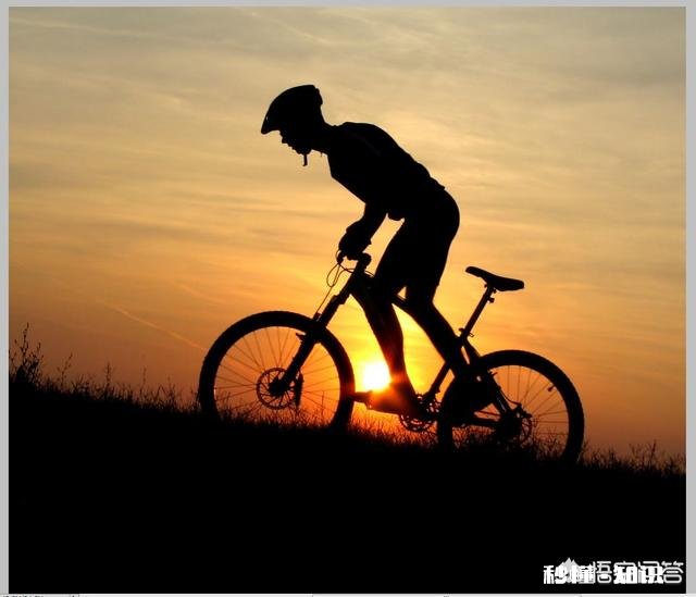 大学生不实习的话，会拿不到毕业证吗