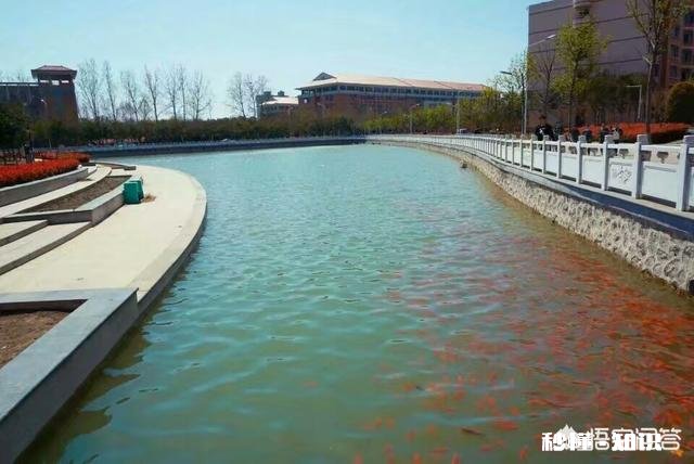 大学生不实习的话，会拿不到毕业证吗