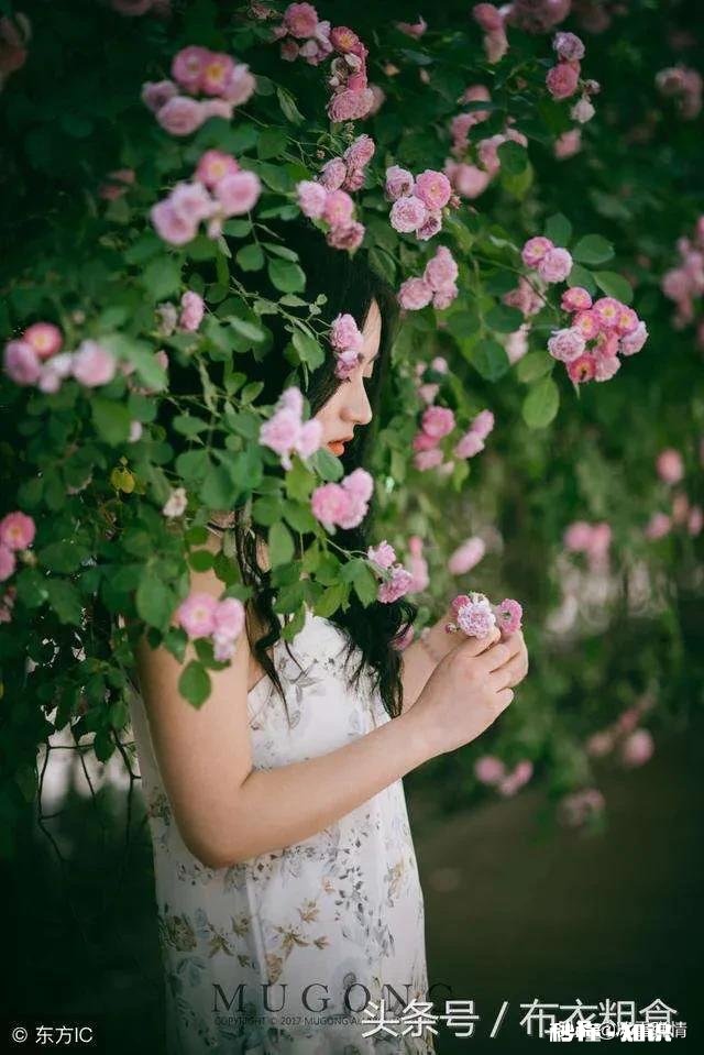 人们常说有缘无份，那么这个份究竟是什么意思