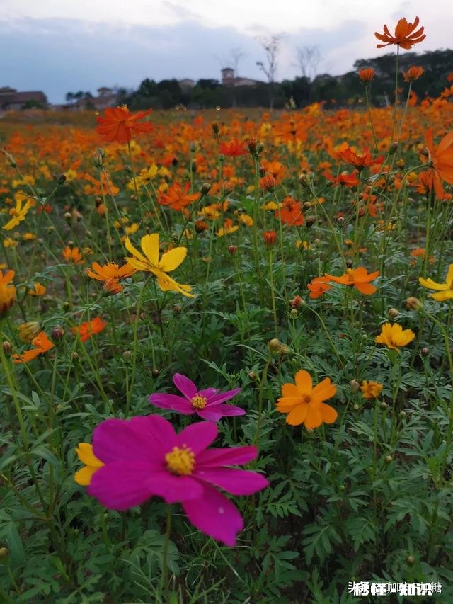 结婚后发现选错人怎么办