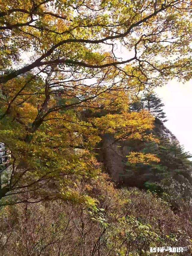 我把《挪威的森林》当隔热垫，被舍友嘲讽，我错了吗