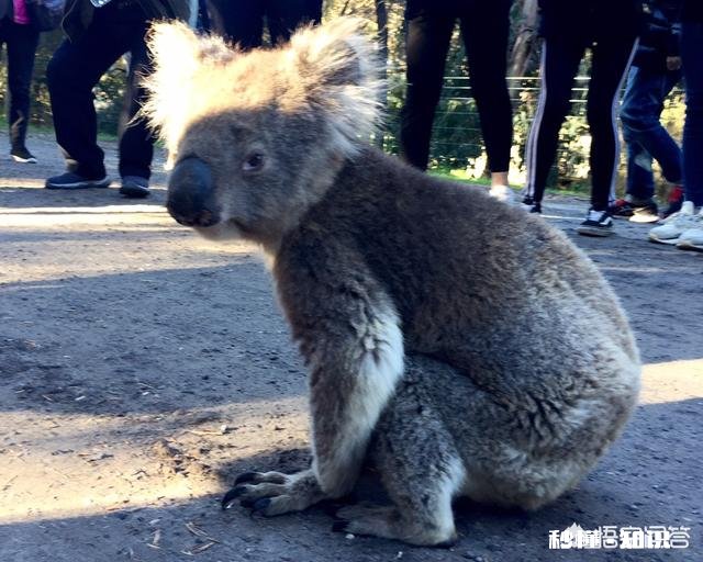 2007年去美国拒签了，现在去美国旅游好签吗