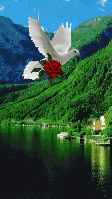 每逢春节回家，就算路程再远，都不觉得辛苦，为何