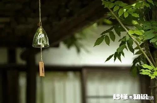 每逢春节回家，就算路程再远，都不觉得辛苦，为何