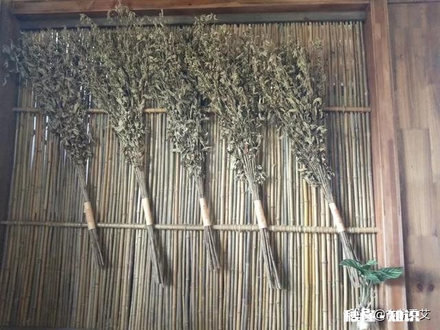 艾灸完后背为什么会痒