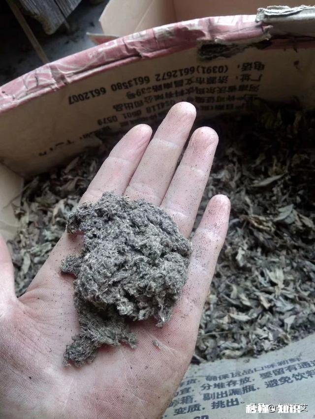 艾灸完后背为什么会痒