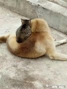 同比暴跌98%，中国瓷砖全面退出美国市场。怎么回事