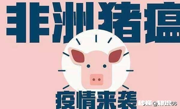 受非洲猪瘟和国际疫情的影响,感觉猪肉价格一直不低,啥时候价格回落