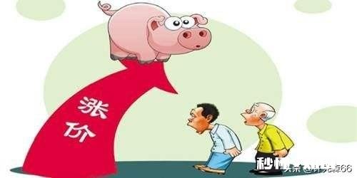 受非洲猪瘟和国际疫情的影响,感觉猪肉价格一直不低,啥时候价格回落