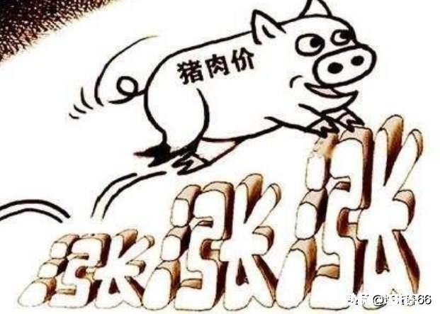 受非洲猪瘟和国际疫情的影响,感觉猪肉价格一直不低,啥时候价格回落
