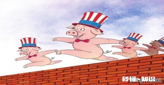 受非洲猪瘟和国际疫情的影响,感觉猪肉价格一直不低,啥时候价格回落