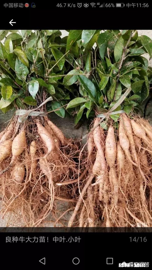 未来农村的土地前景如何那些比较偏僻的农村山区会有发展空间吗