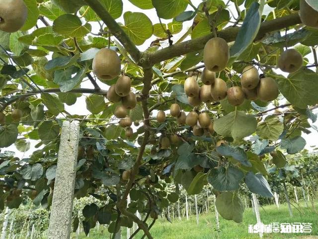未来农村的土地前景如何那些比较偏僻的农村山区会有发展空间吗